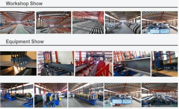 Qingdao Xinguangzheng Husbandry Co.,  Ltd linia produkcyjna fabryki
