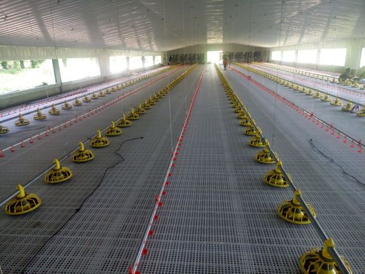 OEM system podłogowy dla brojlerów 380V Broiler Flat Raising Whole House System