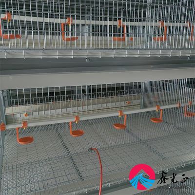 EPS izolowany dom kurczaka z oknami ze stopu aluminium