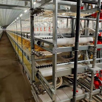 Przemysłowa Hodowla Stalowa Struktura Dom rolniczy Korzystanie z kolorowego panelu
