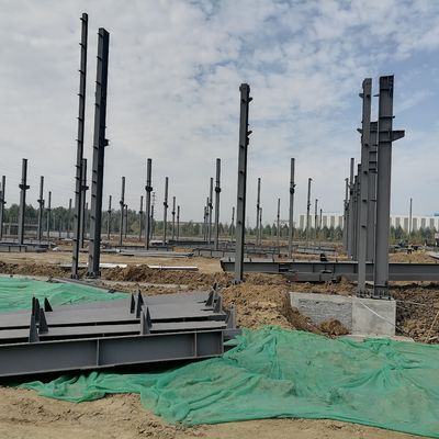 Zwierzęta i zwierzęta, zwierzęta i zwierzęta