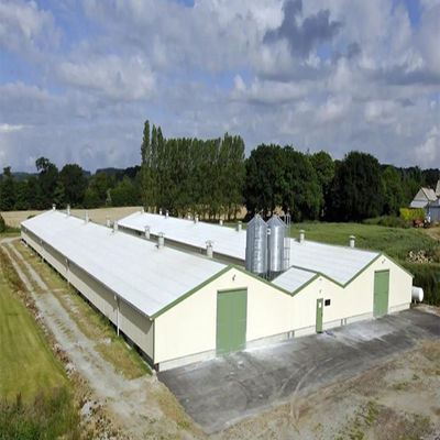 SGS Hodowla zwierząt domowa prefabrykowana automatyczna stalowa ramka kurnik