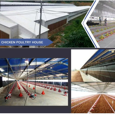 Prefabrykowany budynek inwentarski ze stali o profilu H z izolacją PVC