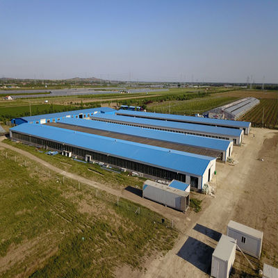 Hodowla drobiu Dom kurczaków Świetlny prefabrykowany budynek stalowy