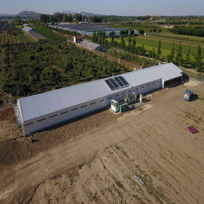 Hodowla drobiu Dom kurczaków Świetlny prefabrykowany budynek stalowy