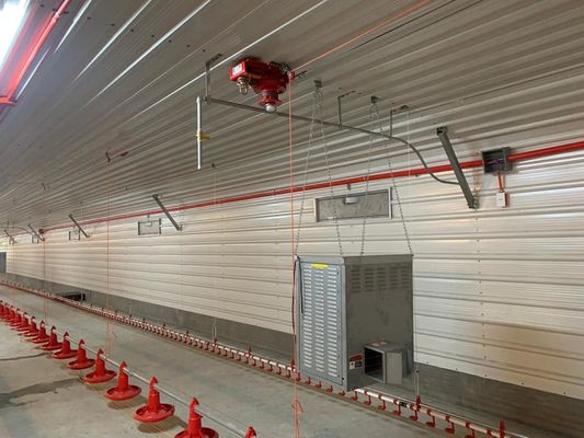 H Sekcja stalowa handlowa kurnik prefabrykowana konstrukcja stalowa