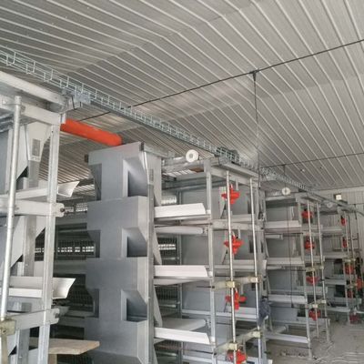System klatki kurczaka dla brojlerów o dużym rozmiarze 230M*56M dla kraju pochodzenia