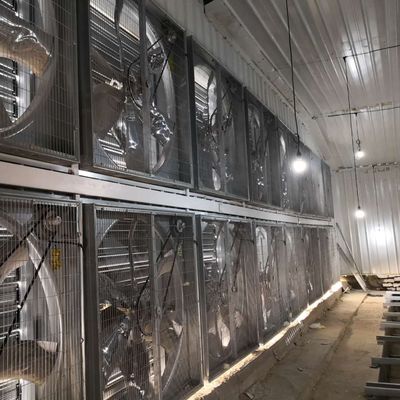 System klatki kurczaka dla brojlerów o dużym rozmiarze 230M*56M dla kraju pochodzenia