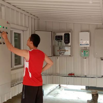 Automatyczny system karmienia brojlerów - idealne rozwiązanie dla gospodarstw drobiarskich