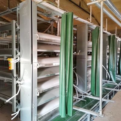 System klatki kurczaka dla brojlerów o niskiej elastyczności
