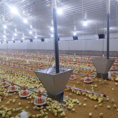 Długotrwały system podłogowy dla mięsa i kurczaka z odpornością na korozję / materiał plastikowy