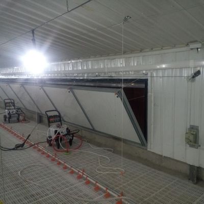 Standardowy system podłogowy przeciwpoślizgowy dla brojlerów dla lepszych osiągów