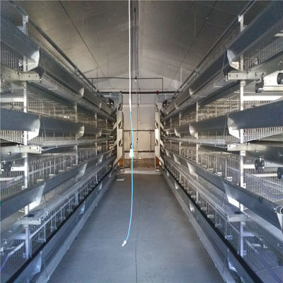 Z galwanizowanej stali typu A Owoce dla kurczaków do produkcji jaj dla automatycznych systemów karmienia i picia