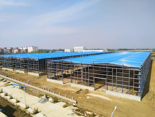 Profesjonalny projekt Prefab Structure Steel Chicken Farm Equipment House
