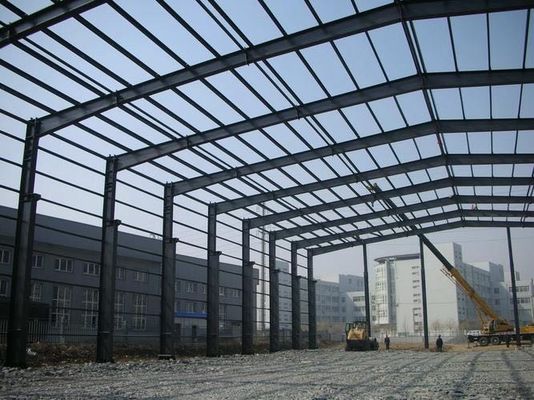 Profesjonalny projekt Prefab Structure Steel Chicken Farm Equipment House