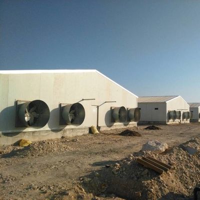 Zindywidualizowany dach gablisty Dom dla drobiu z izolacyjnymi panelami