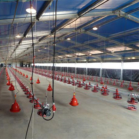 Doskonały system podłogowy broilerów z wzajemną wentylacją dla linii produkcyjnej bydła