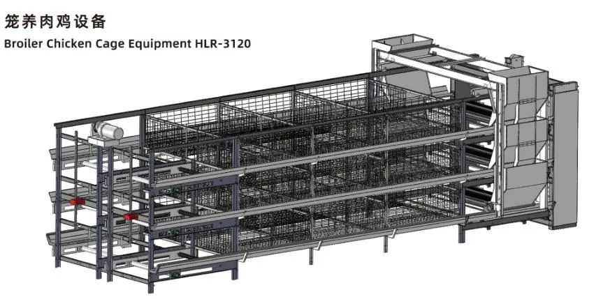 ISO system klatki kurczaka dla brojlerów 1