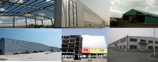 SGS Hodowla zwierząt domowa prefabrykowana automatyczna stalowa ramka kurnik 5