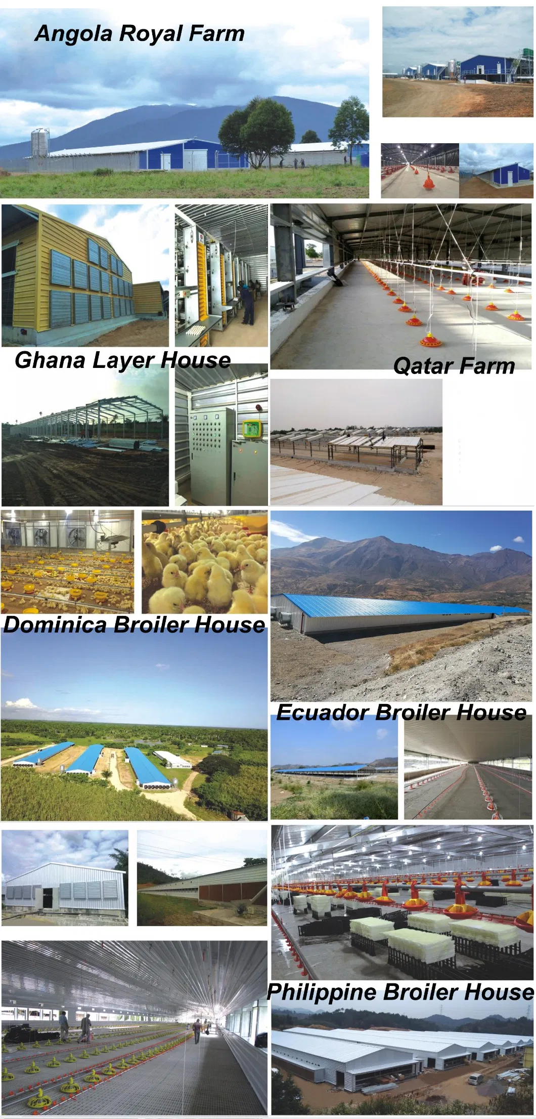 Prefabricated Light Steel Structure Layer Egg Chicken Cage Broiler Poultry Farm House